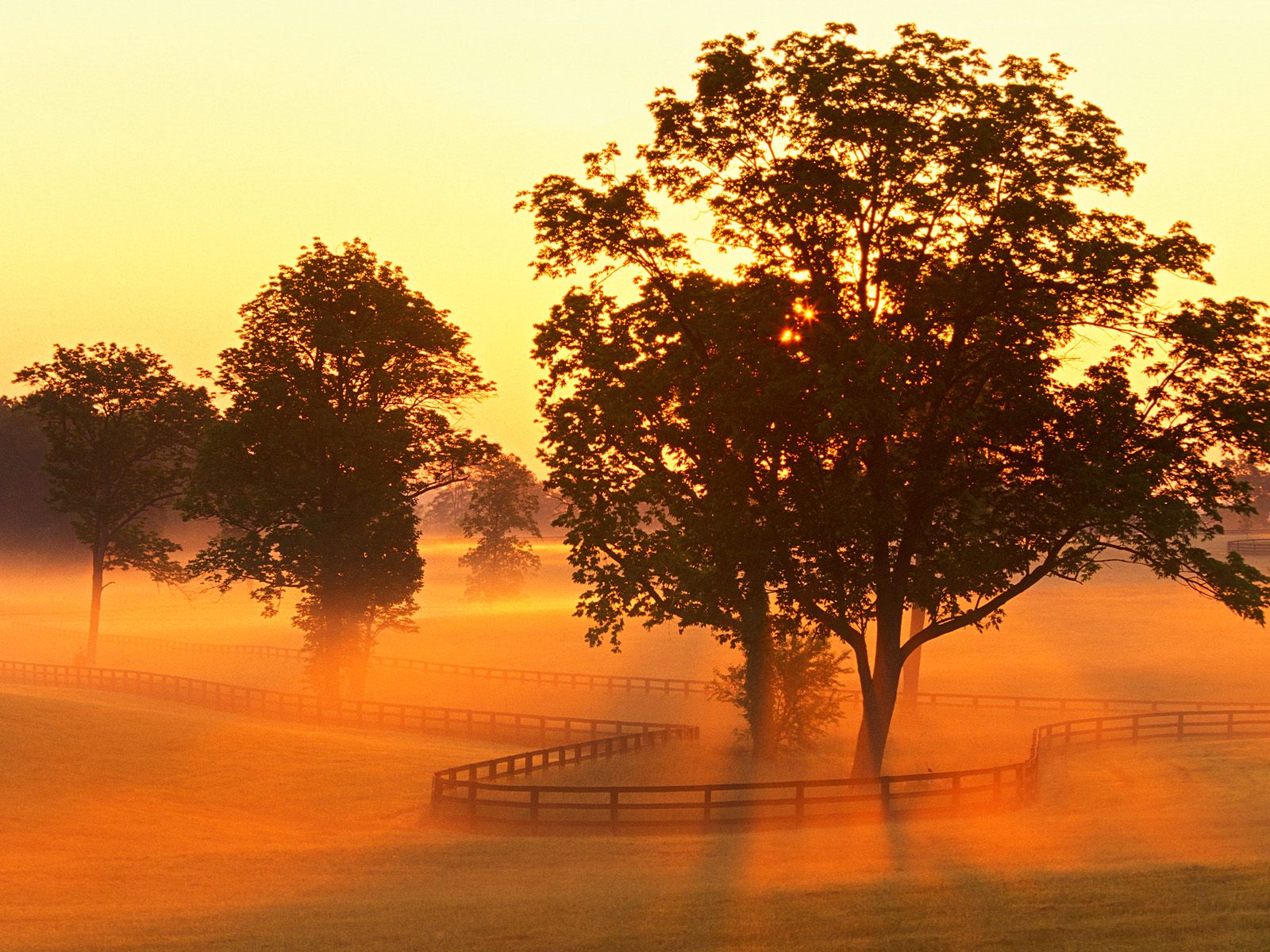 Horse Farm Sunrise, Versailles, Kentucky.jpg